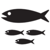 sector-pesca sector-pesca
