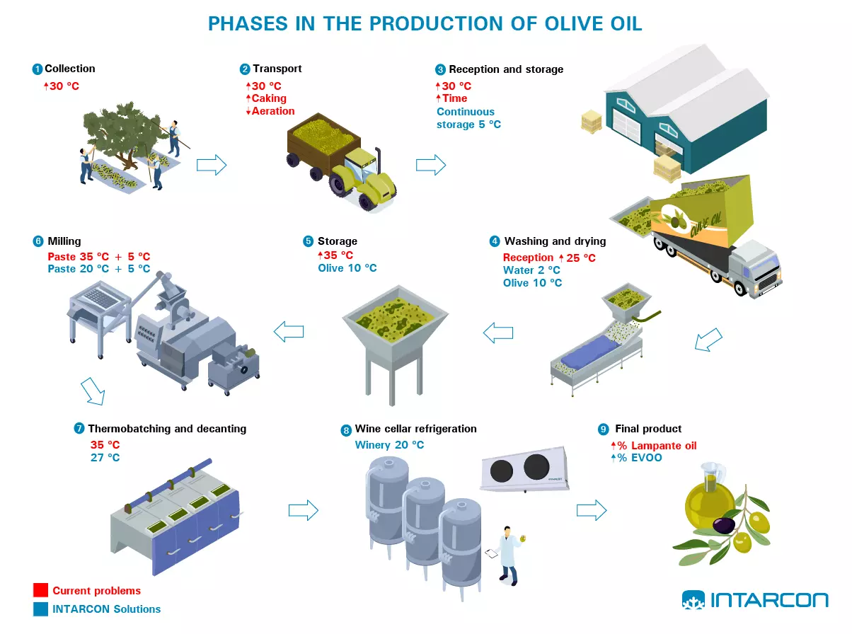 Refrigeration in olive oil production - INTARCON
